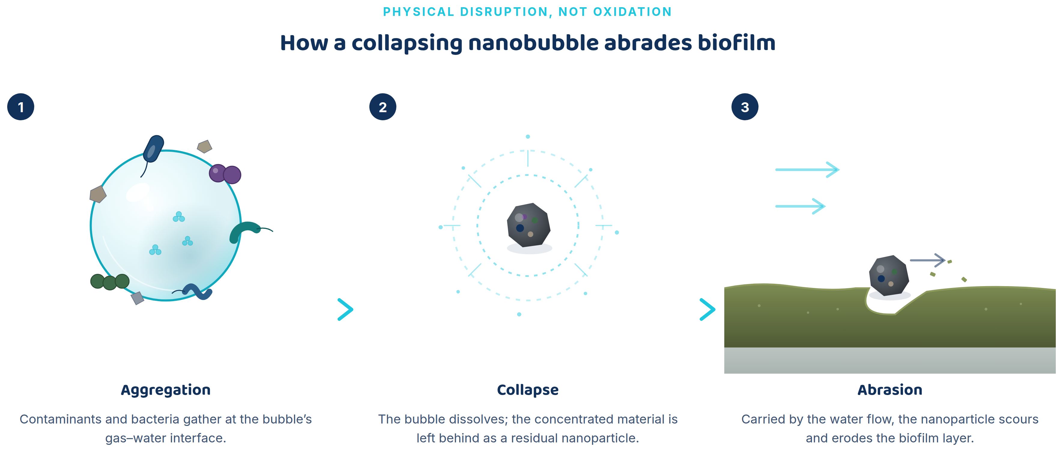 Three-step sequence: contaminants aggregate at a nanobubble's surface, the bubble collapses into a residual nanoparticle, which then abrades biofilm.